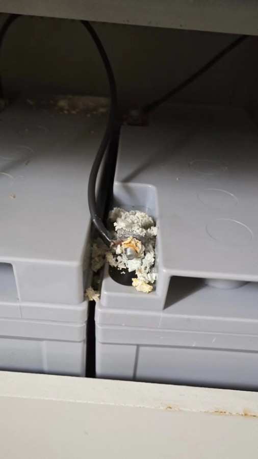 1678867824193039.jpg 2.jpg